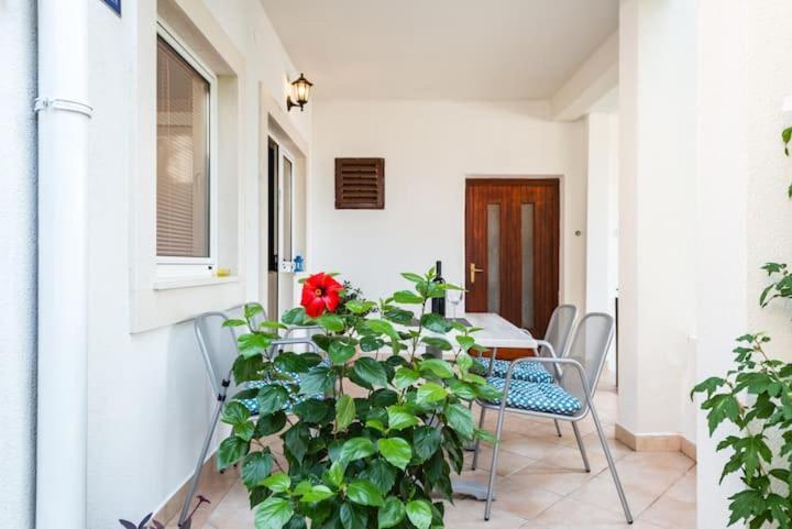באסקה וודה Apartments Nina M מראה חיצוני תמונה